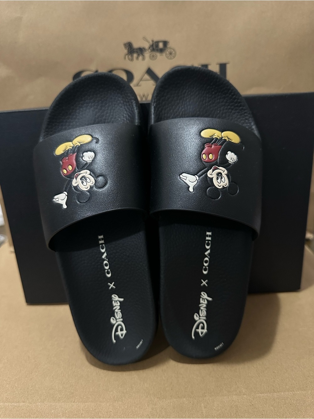 Coach Disney X Coach Udele Sport Slide
With Mickey Mouse - Picture 2 of 6